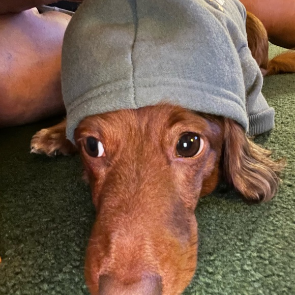 Meet your Posher, Melissa - Picture 11 of 12